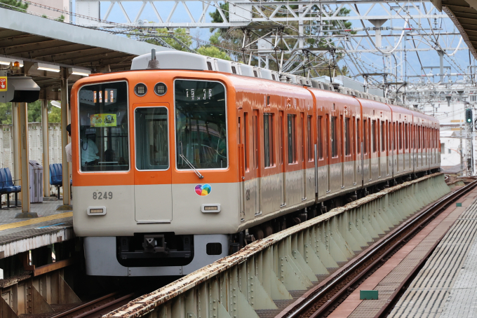 阪神8000系 8249F編成 (尼崎車庫) 徹底ガイド | レイルラボ(RailLab)