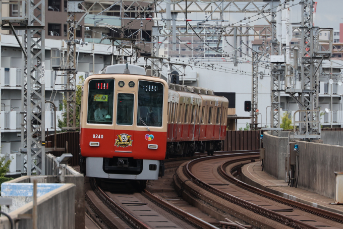 阪神8000系 8239F編成 (尼崎車庫) 鉄道フォト 鉄道フォト・画像(記録