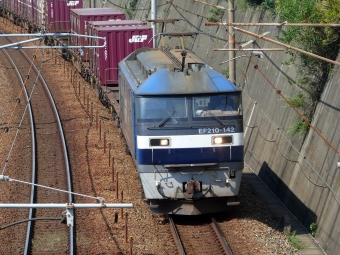 JR貨物 EF210形 EF210-142 鉄道フォト・写真 by norikadさん 朝霧駅：2011年09月25日11時ごろ