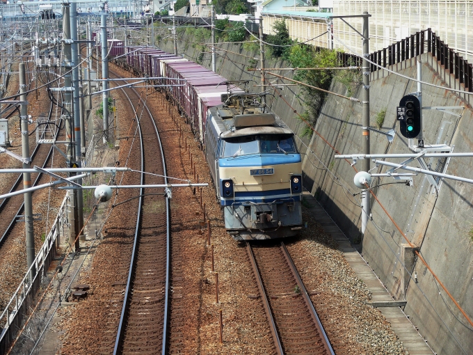 鉄道フォト・写真：JR貨物 国鉄EF66形電気機関車 EF66-54 朝霧駅 鉄道フォト・写真 by norikadさん - 撮影日 2011/09/25 11:46