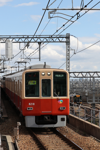 阪神電鉄 8218 (阪神8000系) 車両ガイド | レイルラボ(RailLab)
