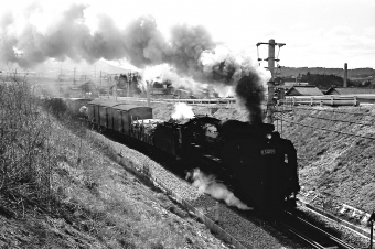 国鉄D51形蒸気機関車 D51-299 鉄道フォト・写真 by norikadさん 中津川駅：1972年03月06日00時ごろ