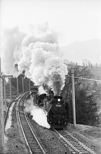 国鉄D51形蒸気機関車 D51-921 鉄道フォト・写真 by norikadさん 上松駅：1972年03月07日00時ごろ