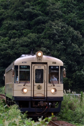 京都丹後鉄道 KTR800形 KTR803 鉄道フォト・写真 by norikadさん 網野駅：2020年09月03日10時ごろ