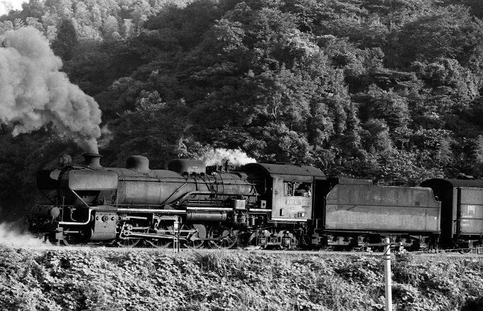 国鉄D60形蒸気機関車 D60-61 筑前内野駅 鉄道フォト・写真 by norikad