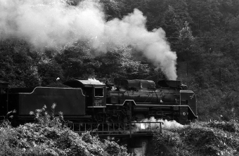 国鉄D51形蒸気機関車 D51-940 鉄道フォト・写真 by norikadさん ：1972年10月01日00時ごろ