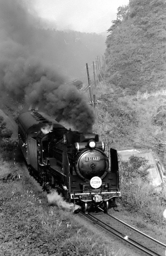 国鉄D51形蒸気機関車 D51-499 鉄道フォト・写真 by norikadさん ：1972年10月01日00時ごろ
