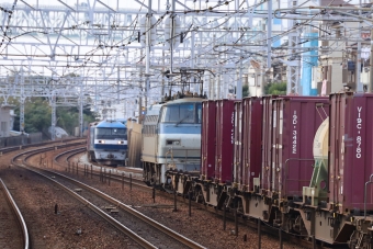 JR貨物 国鉄EF66形電気機関車 鉄道フォト・写真 by norikadさん 垂水駅：2020年10月29日11時ごろ
