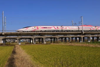 JR西日本 500系新幹線電車 ハローキティ号 鉄道フォト・写真 by norikadさん 西明石駅：2020年11月15日12時ごろ