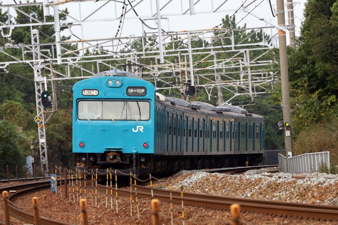 JR西日本 クハ103形 クハ103-247 鉄道フォト・写真 by norikadさん 舞子駅：2020年11月16日10時ごろ
