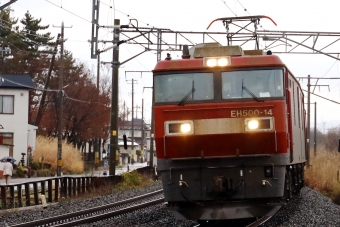 JR貨物 EH500形 EH500-14 鉄道フォト・写真 by norikadさん 小柳駅 (青森県)：2020年11月26日09時ごろ
