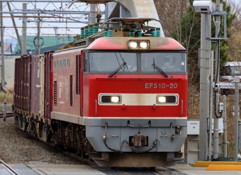 JR貨物 EF510形 EF510-20 鉄道フォト・写真 by norikadさん 津軽新城駅：2020年11月27日09時ごろ