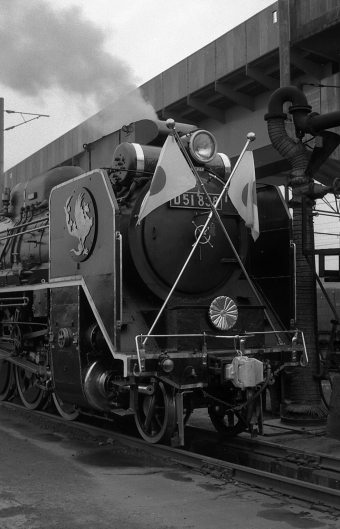 国鉄D51形蒸気機関車 お召し機 D51-838 鉄道フォト・写真 by norikadさん ：1971年04月21日00時ごろ