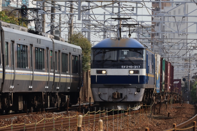 JR貨物EF210形電気機関車 EF210-317 鉄道フォト・写真 by norikadさん 舞子駅：2020年11月16日10時ごろ