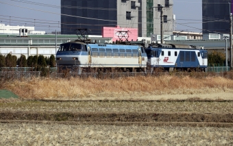 JR貨物 国鉄EF66形電気機関車 EF66-129 鉄道フォト・写真 by norikadさん 大久保駅 (兵庫県)：2021年01月14日13時ごろ