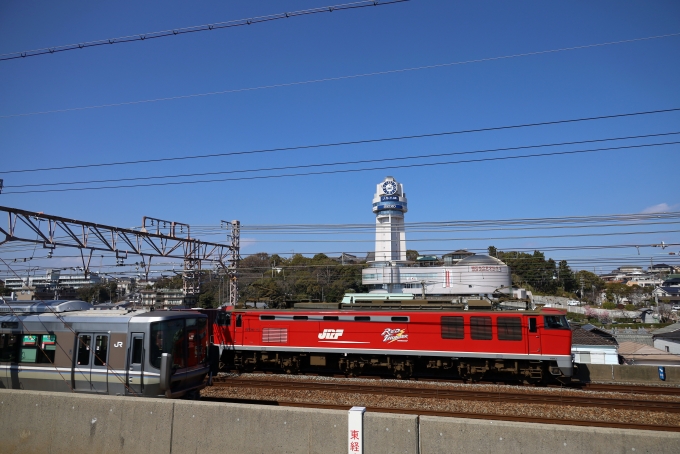 JR貨物 EF510形 EF510-19 鉄道フォト・写真 by norikadさん 明石駅：2020年03月06日13時ごろ