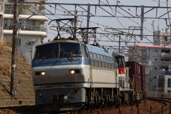 JR貨物 国鉄EF66形電気機関車 EF66-129 鉄道フォト・写真 by norikadさん 舞子駅：2021年03月10日13時ごろ