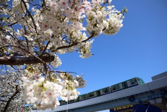 神戸新交通 2020型 鉄道フォト・写真 by norikadさん 南公園駅：2021年03月24日14時ごろ