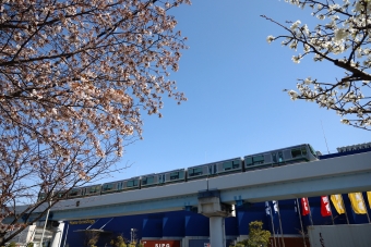 神戸新交通2000型電車 鉄道フォト・写真 by norikadさん 南公園駅：2021年03月24日14時ごろ