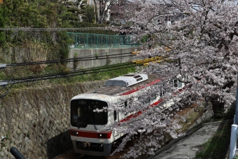 神戸電鉄2000形(Mc1) 2001 鉄道フォト・写真 by norikadさん 鈴蘭台西口駅：2021年03月29日11時ごろ