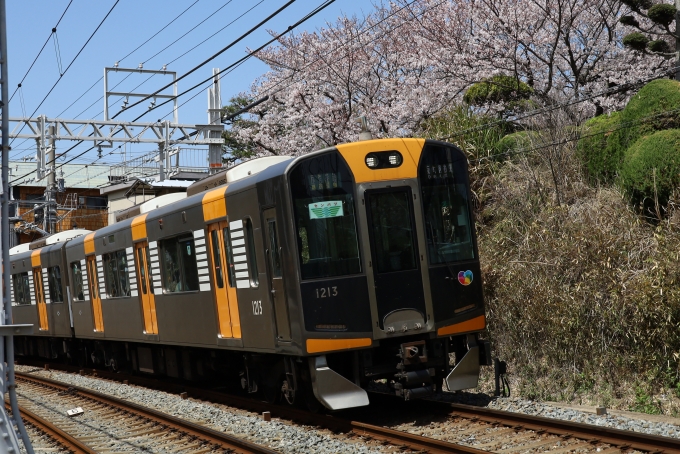 鉄道フォト・写真：阪神電鉄 阪神1000系電車 1213 霞ヶ丘駅 (兵庫県) 鉄道フォト・写真 by norikadさん - 撮影日 2021/04/01 12:21