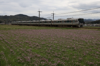 JR西日本225系電車 鉄道フォト・写真 by norikadさん 三田駅 (兵庫県|JR)：2021年04月06日13時ごろ