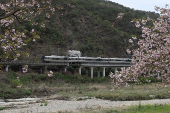 JR西日本223系電車 鉄道フォト・写真 by norikadさん 三田駅 (兵庫県|JR)：2021年04月06日14時ごろ
