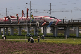 JR西日本 500系新幹線電車 ハローキティ号 鉄道フォト・写真 by norikadさん 西明石駅：2021年05月04日10時ごろ