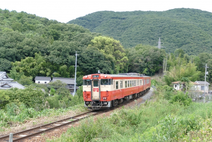 鉄道フォト・写真：JR西日本 キハ４７形 キハ47-47 玉柏駅 鉄道フォト・写真 by norikadさん - 撮影日 2017/09/02 12:30