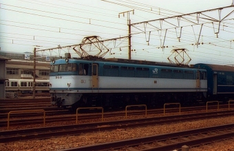 JR貨物 国鉄EF65形電気機関車 鉄道フォト・写真 by norikadさん 鷹取駅：1992年06月13日00時ごろ