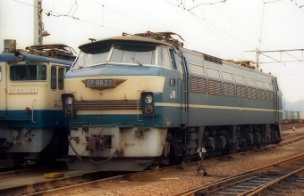 JR貨物 国鉄EF66形電気機関車 EF66-23 鉄道フォト・写真 by norikadさん ：1988年11月20日00時ごろ