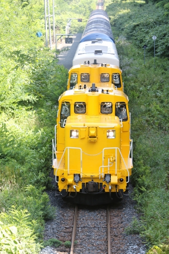 JR北海道 ロイヤルエクスプレス 鉄道フォト・写真 by Jaguar233さん 西女満別駅：2021年08月15日10時ごろ