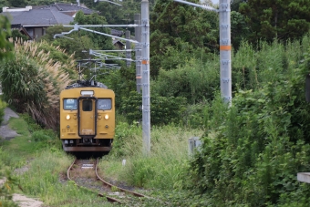 JR西日本 クモハ123形 クモハ123-5 鉄道フォト・写真 by Jaguar233さん 長門本山駅：2022年08月06日07時ごろ