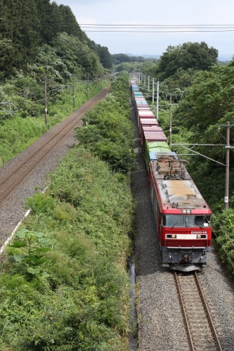 JR貨物 EH500形 EH500-55 鉄道フォト・写真 by Jaguar233さん 滝沢駅：2022年08月23日10時ごろ