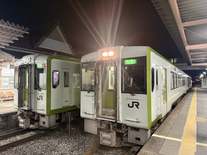 鉄道　キハ　110系　資料 JR東日本 キハ110-227 (キハ100・110系) 車両ガイド