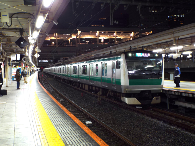 JR東日本E233系電車 クハE233-7028 大崎駅 (東京臨海高速鉄道) 鉄道