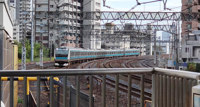 JR東日本 停車駅のご案内5枚セット 山手、京浜東北・根岸、京葉、横浜