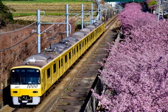 京急電鉄 京急1000形電車(2代) Keikyu Yellow Happy Train 1057 鉄道フォト・写真 by Opheliaさん ：2016年02月21日13時ごろ