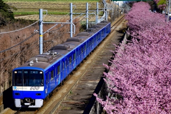 京急電鉄 京急600形電車(3代) Keikyu Blue Sky Train 606-1 鉄道フォト・写真 by Opheliaさん ：2016年02月21日13時ごろ