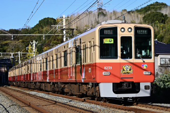 阪神電鉄 8239 (阪神8000系) 車両ガイド | レイルラボ(RailLab)