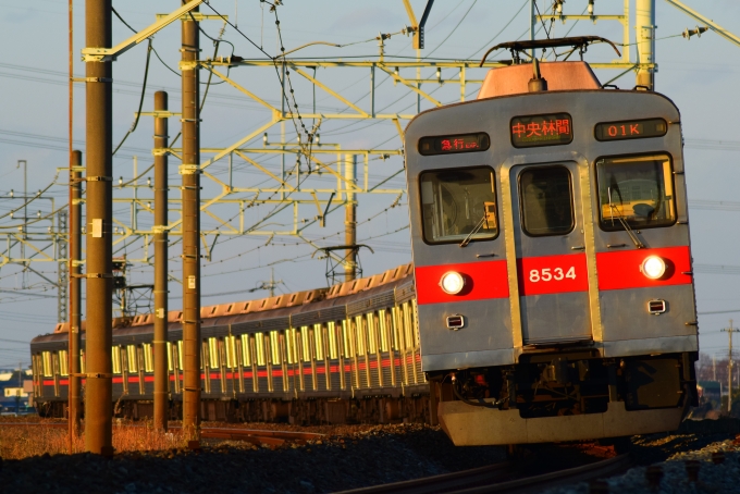 鉄道フォト・写真：東急電鉄 東急8500系電車 元TOQ-BOX装飾車両 8534 幸手駅 鉄道フォト・写真 by Opheliaさん - 撮影日 2020/12/28 15:55