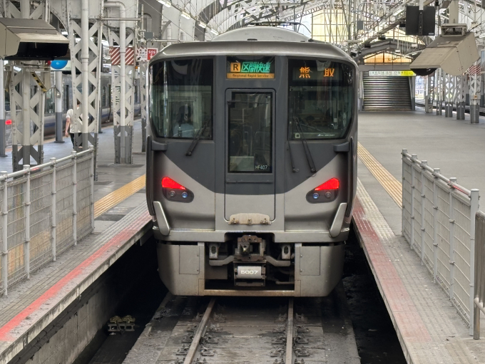 225系 HF407編成 (吹田総合車両所 日根野支所) 徹底ガイド