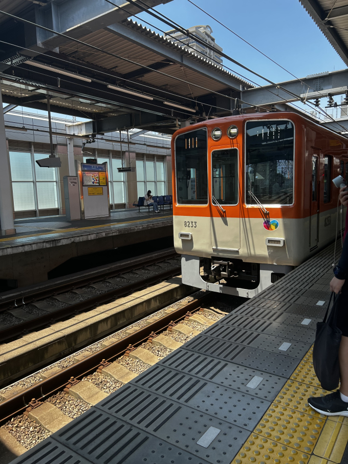 阪神8000系 8233F編成 (尼崎車庫) 鉄道フォト | レイルラボ(RailLab)