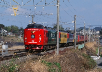 クハ481-238 鉄道フォト・写真