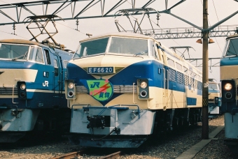 JR貨物 国鉄EF66形電気機関車 EF66 20 鉄道フォト・写真 by 北東航1さん 吹田駅 (JR)：1987年08月22日00時ごろ