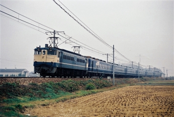 国鉄EF65形電気機関車 EF65 1136 鉄道フォト・写真 by 北東航1さん 早島駅：1986年11月14日00時ごろ
