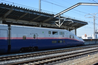 JR東日本 E444形(Tpsc) E444-19 鉄道フォト・写真 by 北東航1さん 熊谷駅 (JR)：2019年03月15日00時ごろ