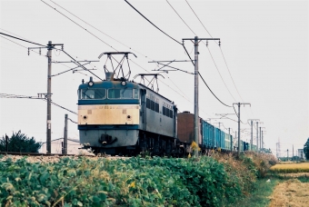 国鉄EF65形電気機関車 EF65 54 鉄道フォト・写真 by 北東航1さん 中庄駅：1986年10月28日00時ごろ