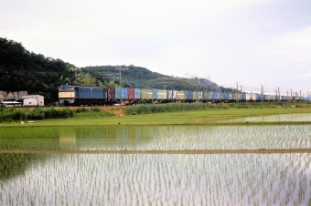 JR貨物 国鉄EF65形電気機関車 鉄道フォト・写真 by 北東航1さん 中庄駅：1989年06月10日00時ごろ