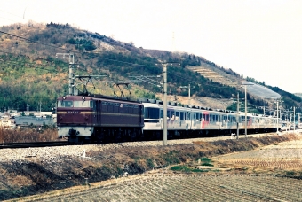 JR西日本 国鉄EF65形電気機関車 EF65 123 鉄道フォト・写真 by 北東航1さん 瀬戸駅：1988年02月21日00時ごろ